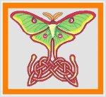 Lunar Moth (image for) Lunar Moth